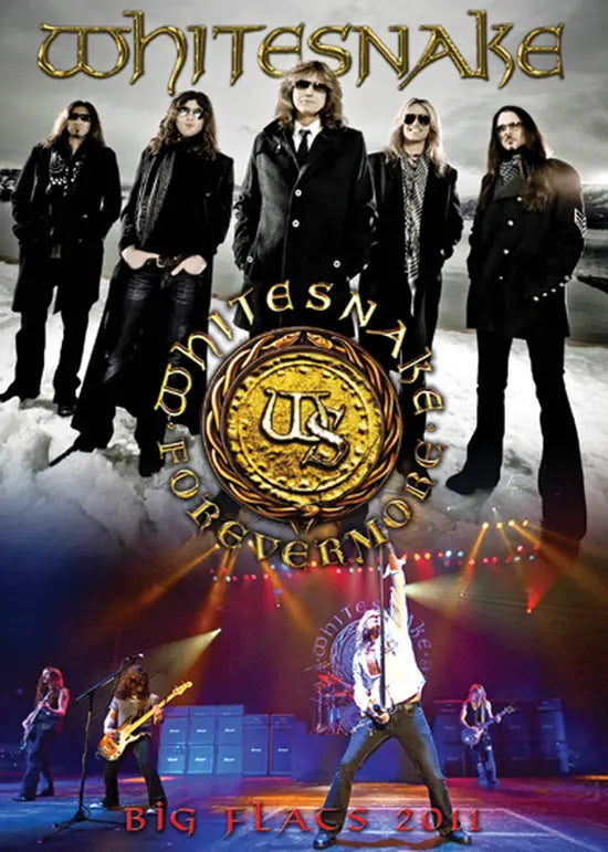 WHITESNAKE / Big flats 2011 (1DVDR)