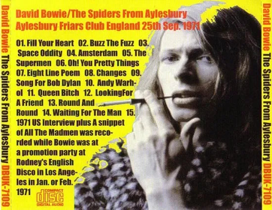 DAVID BOWIE / THE SPIDERS FROM AYLESBURY (1CD)