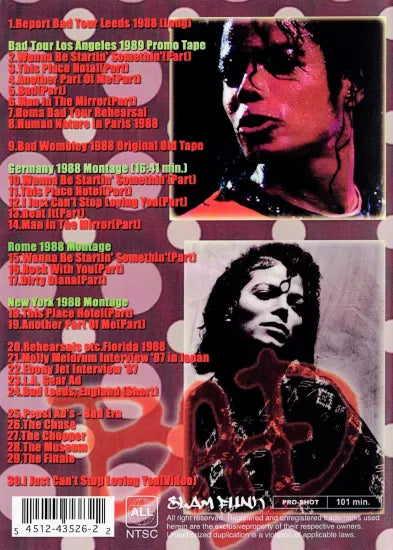 Michael Jackson / More Unleash Bad Tour PRO SHOT (1DVDR)