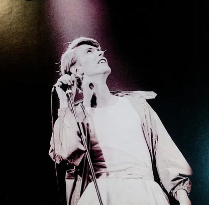 DAVID BOWIE / Hide And Seek (2CDR)