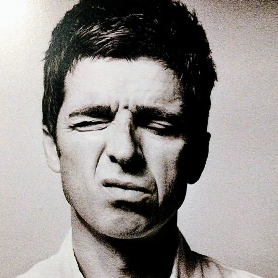 Noel Gallagher's High Flying Birds / At Budokan First Japan Tour 2015 (2CDR)