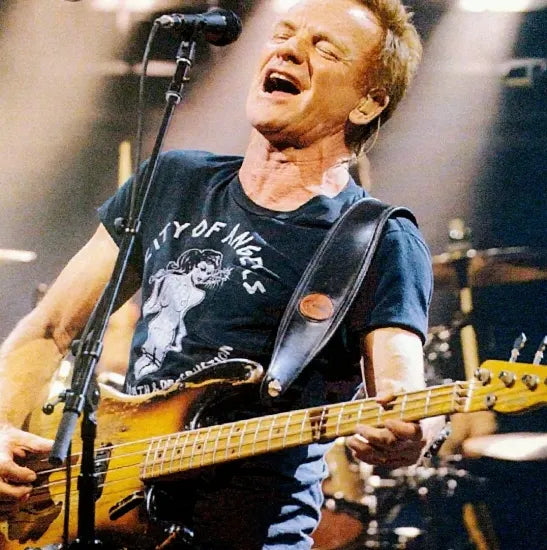 STING / LIVE IN TOKYO 2017 FIRST NIGHT (2CDR)
