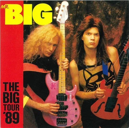 MR.BIG / THE BIG TOUR '94 (1CDR)