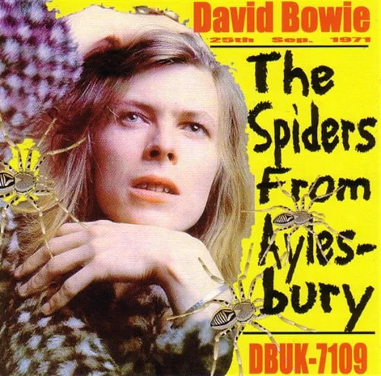 DAVID BOWIE / THE SPIDERS FROM AYLESBURY (1CD)