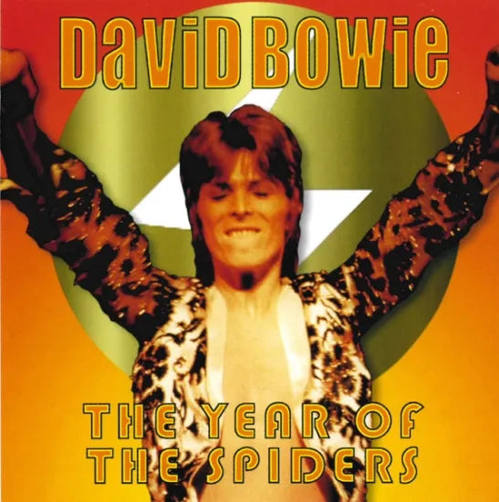DAVID BOWIE / THE YEAR OF THE SPIDERS (1CD)