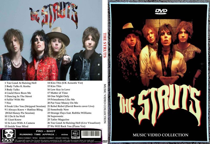 The Struts / MUSIC VIDEO COLLECTION (1DVDR) Unprinted white disc
