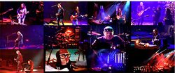 RUSH / MADISON SQUARE GARDEN 2015 (2DVDR)