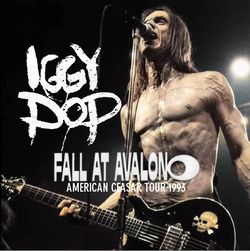 IGGY POP / FALL AT AVALON AMERICAN CEASAR TOUR 1993 (2CDR)