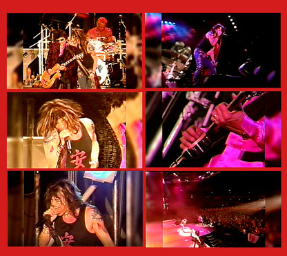 Aerosmith / Roar Of The Dragon Tour 1999-2000 Osaka Dome PRO SHOT (1DVDR)