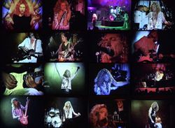 ROBERT PLANT / MOUNTAIN VIEW 1993 THE VIDEO (1DVDR)