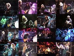 PAGE/PLANT / SACRAMENTO 1995 2 CAM MIX (1DVDR)