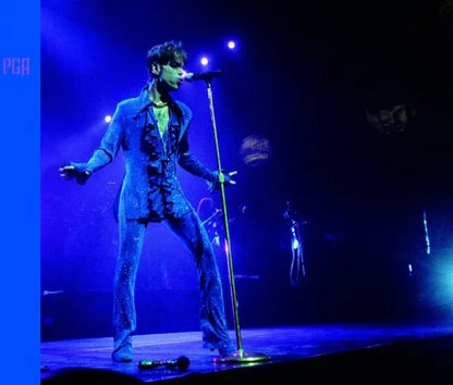 PRINCE / LIVE ANTHOLOGY vol.1 (2CD)