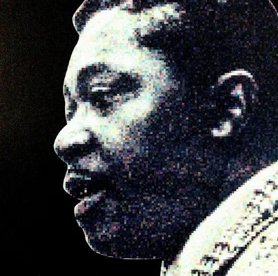 B.B.King / Fillmore East 1971 SOUNDBOARD (2CDR)