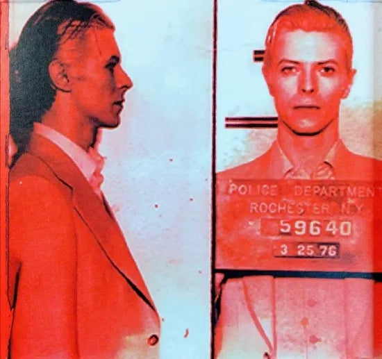 David Bowie / The Thin White Duke (2CDR)
