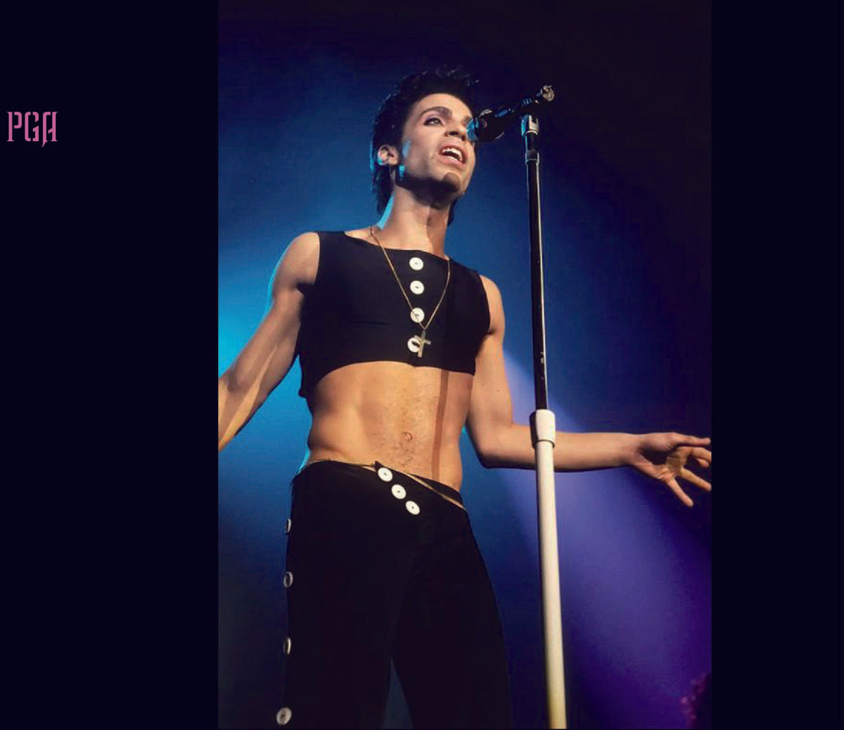 Prince / Parade In New York Madison Square Garden 2 Nights 1986 (2CD) Soundboard