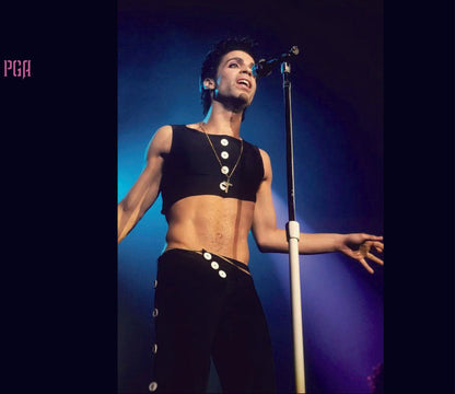 Prince / Parade In New York Madison Square Garden 2 Nights 1986 (2CD) Soundboard
