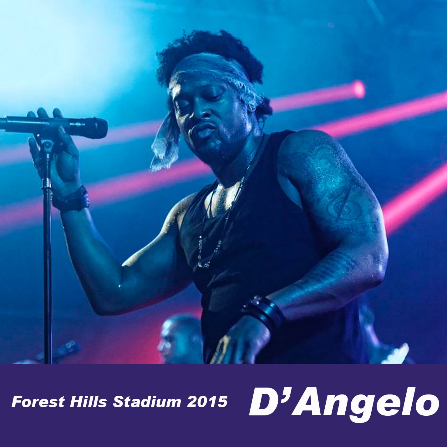 D'Angelo / Forest Hills Stadium 2015 PRO SHOT (2CDR)