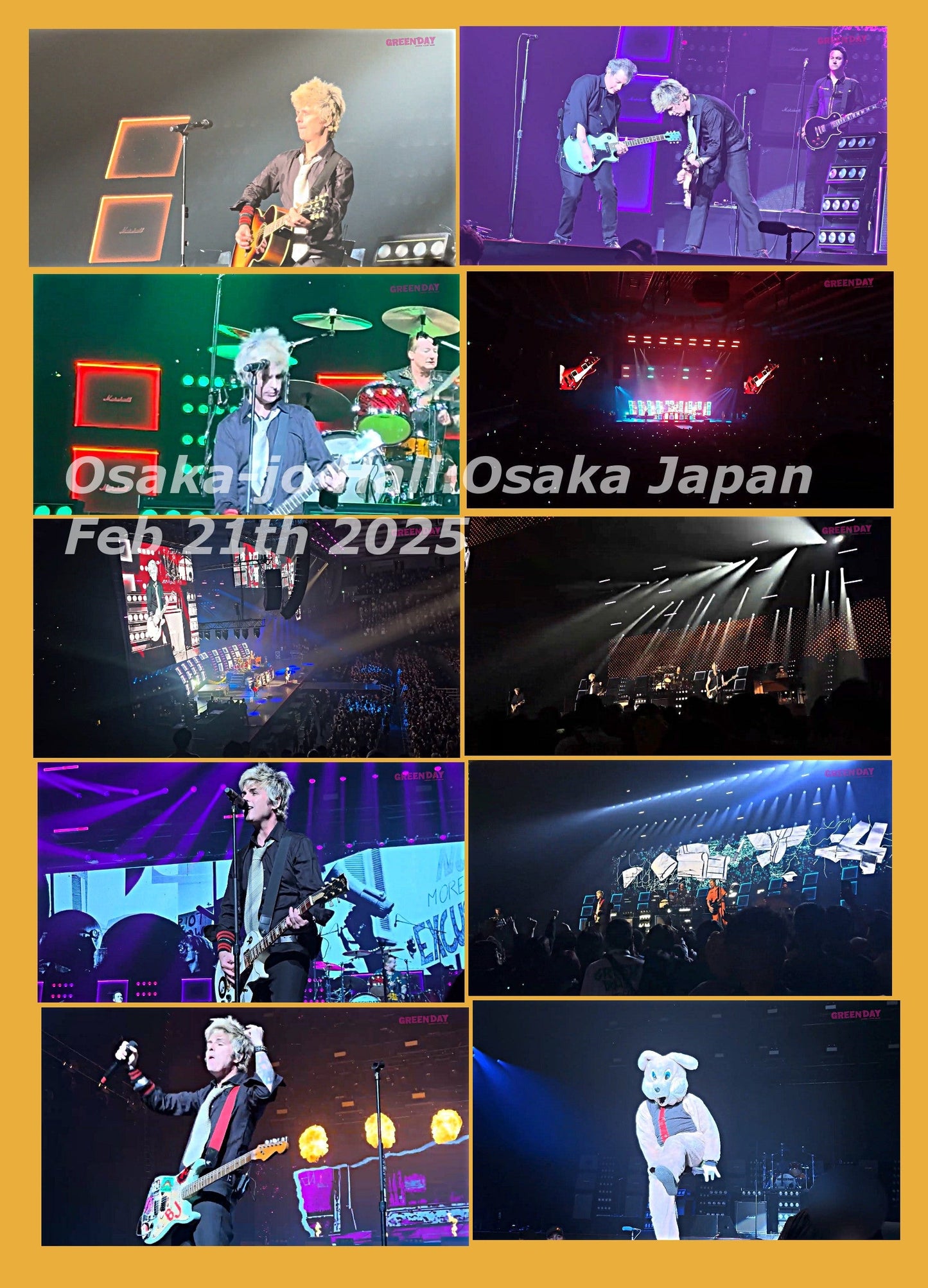 Green Day / The Saviors Japan Tour 2025 (1BDR)