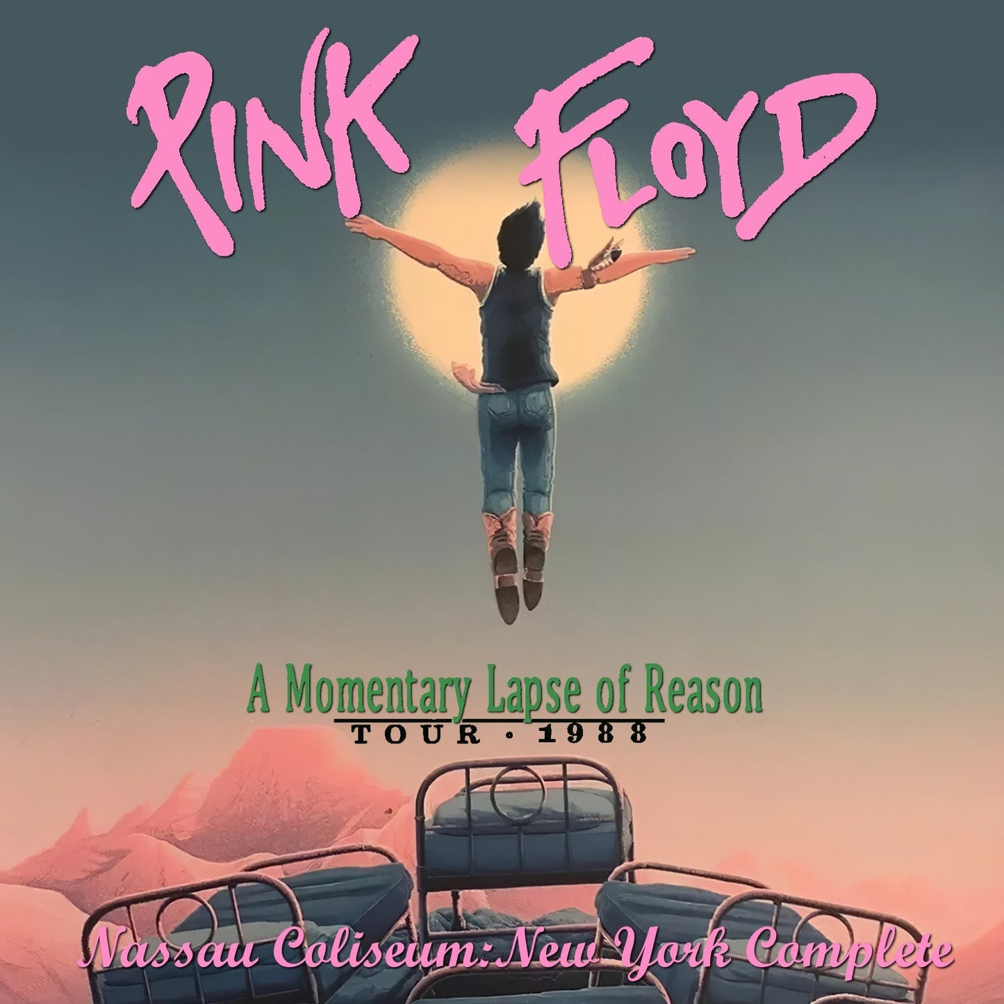 Pink Floyd / A Momentary Lapse of Reason Tour 1988 (2CDR)